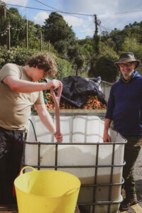 Preparing the Apples